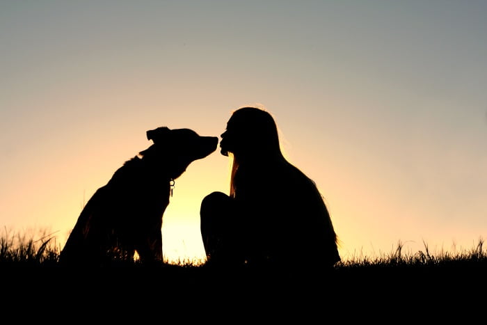 Grieving the Loss of a Dog